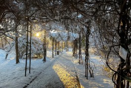 «Тепло внутри и снаружи»: пять идей для первых зимних выходных в Калининграде   (фото)