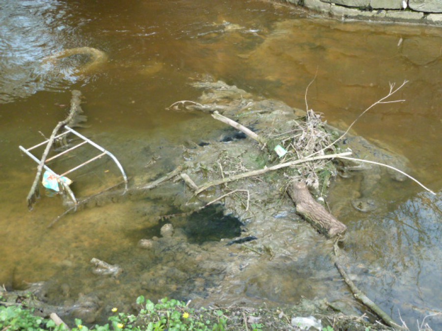 Экологи: Областные власти скрывают результаты обследования реки Лесная