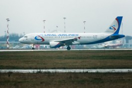 Количество рейсов из московского Домодедово в Калининград увеличат до пяти в день 