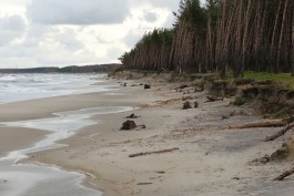 «Балтберегозащита»: Прошедший шторм местами размыл пляжи в Калининградской области (фото)