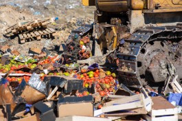 «Бульдозером по помидорам»: в Калининградской области уничтожили санкционные овощи и фрукты (фото)