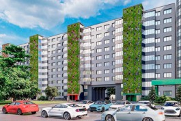 «Зелёные башни»: панельки на Московском проспекте в Калининграде планируют украсить диким виноградом (фото)