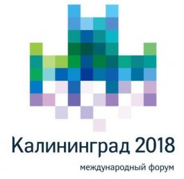 В Калининграде пройдёт международный форум по подготовке к ЧМ-2018